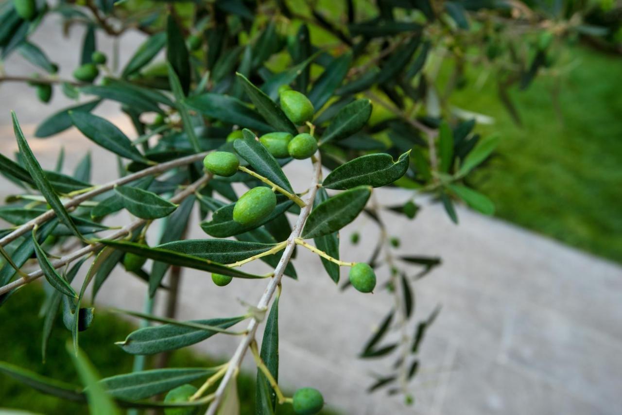 Olive 302 Lägenhet Peraía Exteriör bild
